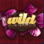 Wild Cookies – obrázok hry Wild Cookies z katalógu KAJOT INTACTO