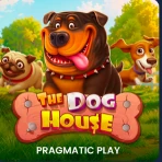 The Dog House – obrázok hry The Dog House z katalógu KAJOT INTACTO
