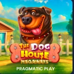 The Dog House – obrázok hry The Dog House z katalógu KAJOT INTACTO